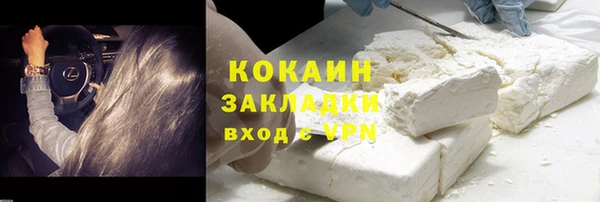 сатива Белокуриха