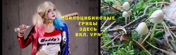 таблы Белоозёрский