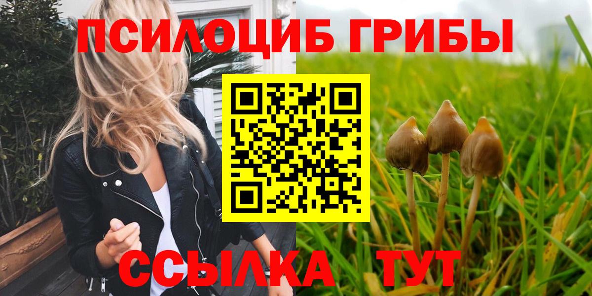 Псилоцибиновые грибы ЛСД  закладки  Бузулук  Псилоцибиновые грибы ЛСД 