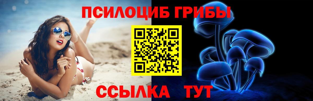 Псилоцибиновые грибы Cubensis Бузулук